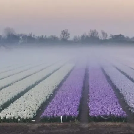 펜션 Near The In The Center.**** *