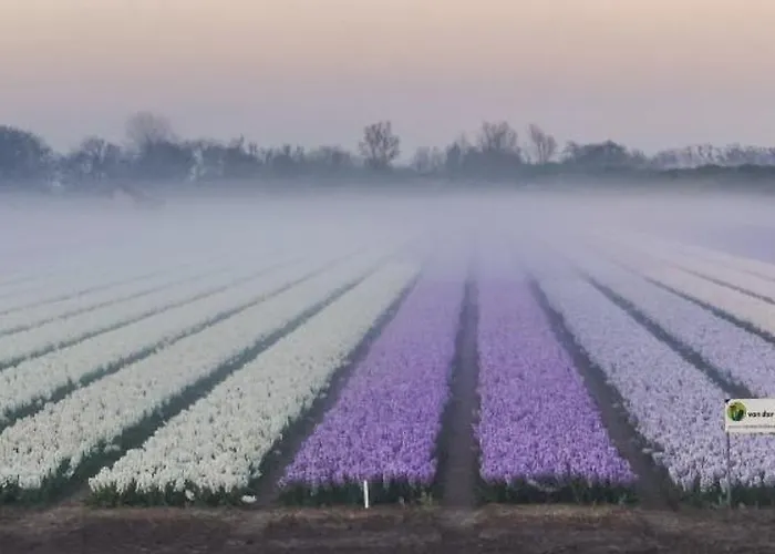 Casa vacanze Near The In The Center.**** *